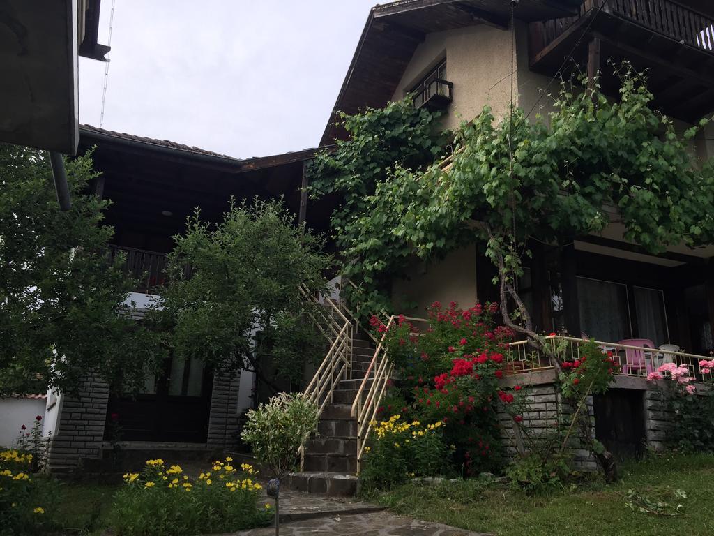 Luylyana Guesthouse Ribarica Εξωτερικό φωτογραφία