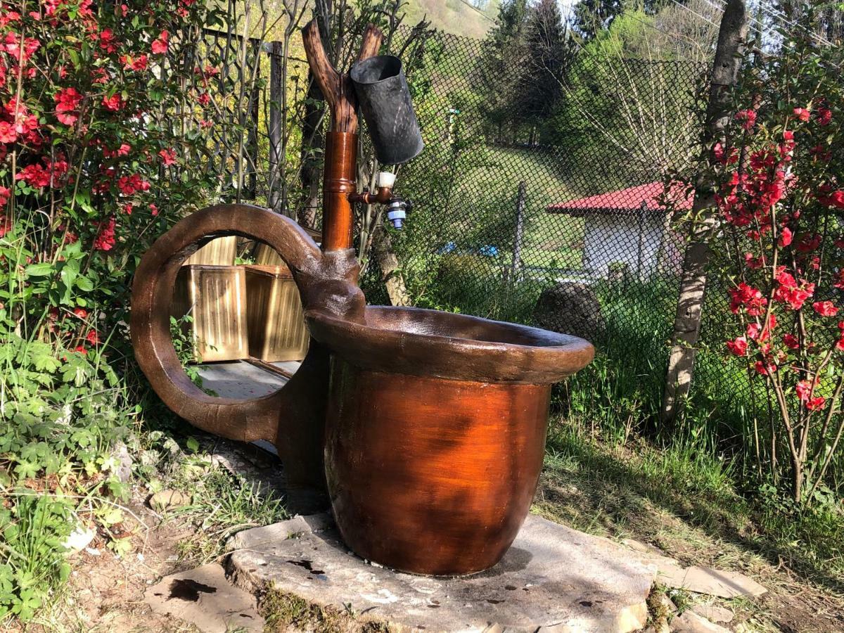 Luylyana Guesthouse Ribarica Εξωτερικό φωτογραφία