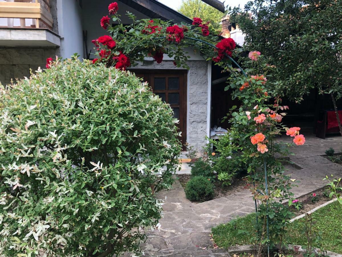 Luylyana Guesthouse Ribarica Εξωτερικό φωτογραφία