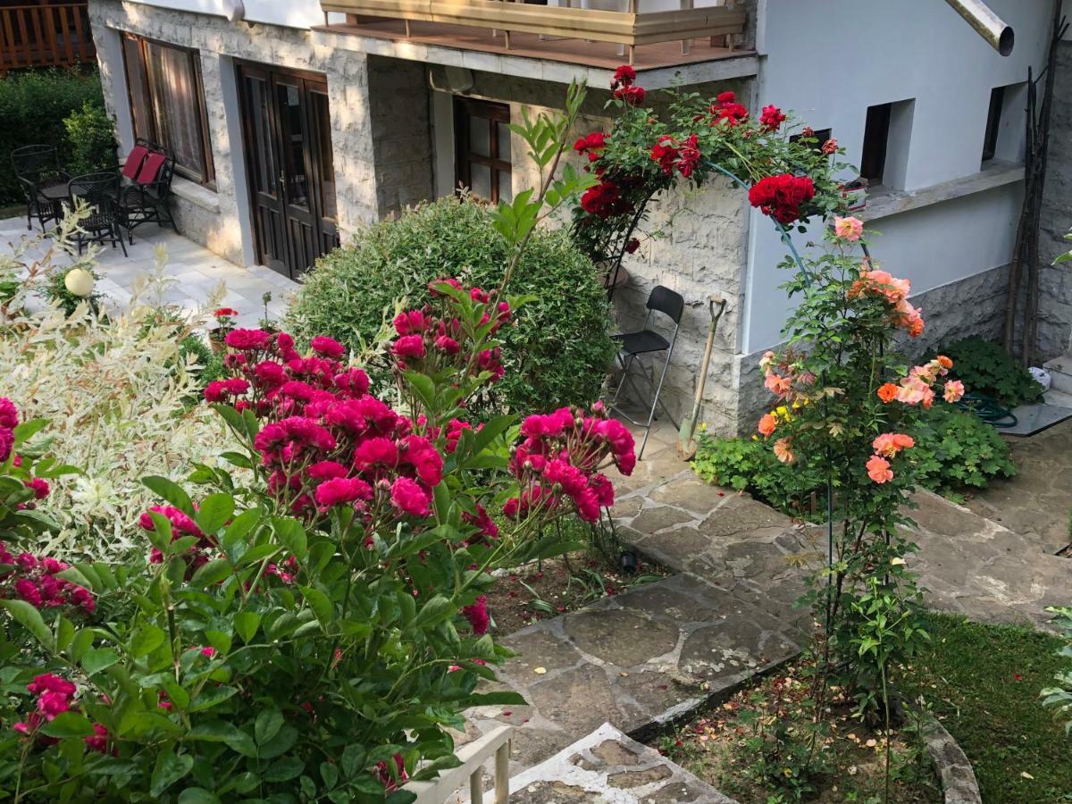 Luylyana Guesthouse Ribarica Εξωτερικό φωτογραφία