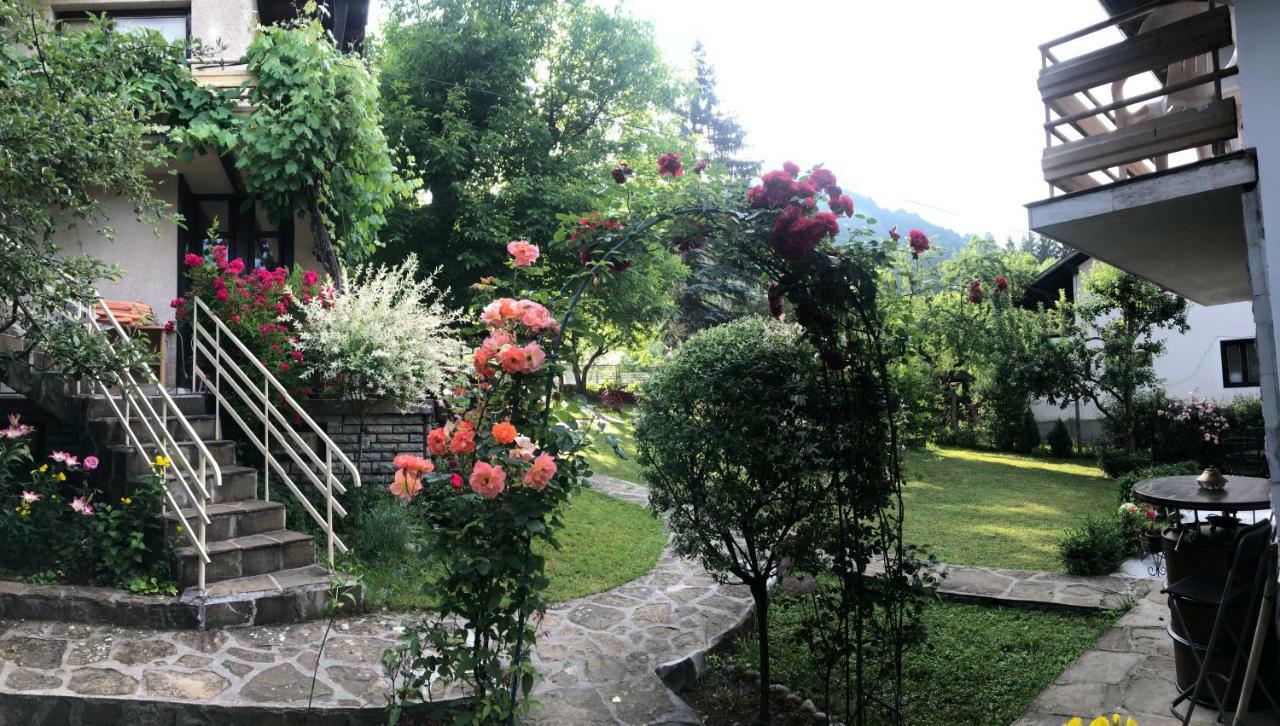 Luylyana Guesthouse Ribarica Εξωτερικό φωτογραφία