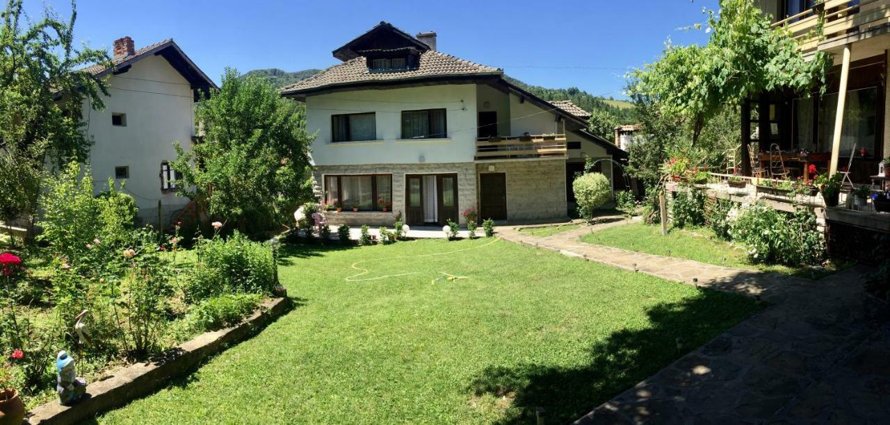Luylyana Guesthouse Ribarica Εξωτερικό φωτογραφία